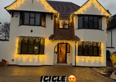 the christmas light guy 1