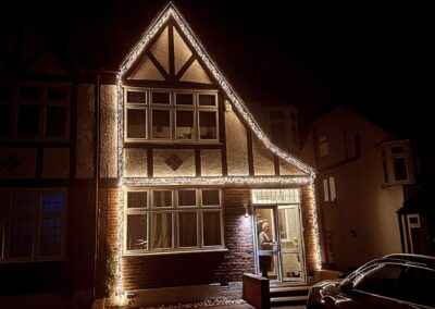 the christmas light guy 10