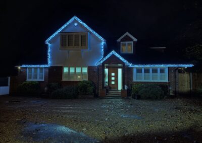 the christmas light guy 3