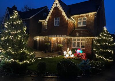 the christmas light guy 4