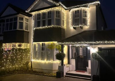 the christmas light guy 5