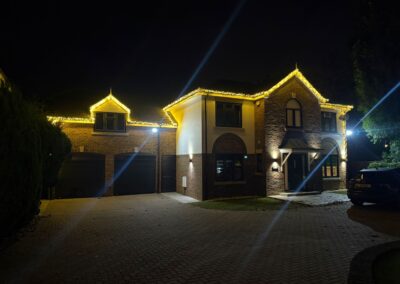 the christmas light guy 6